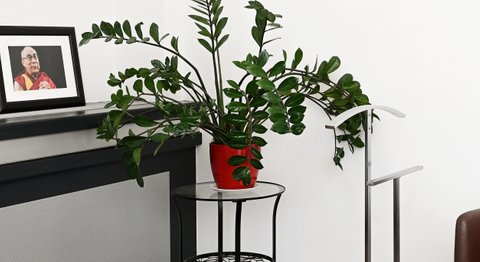 Dr. med. Gilyana Radnaeva - Praktische Ärztin Wien 1030