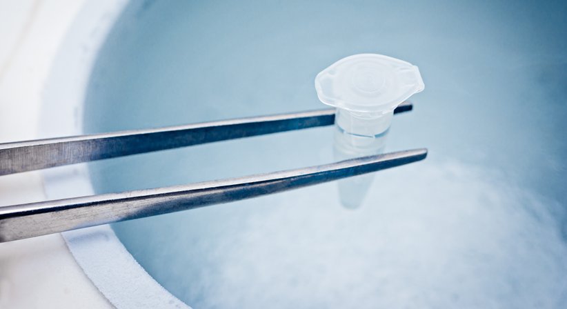 EINFRIEREN VON EIZELLEN (EGGFREEZING) - Dr. med. univ. Leonhard Loimer, MSc - Frauenarzt Linz 4020