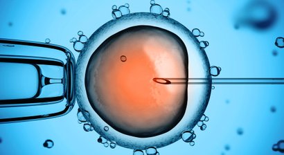ICSI /PICSI (INTRACYTOPLASMATISCHE SPERMIENINJEKTION)