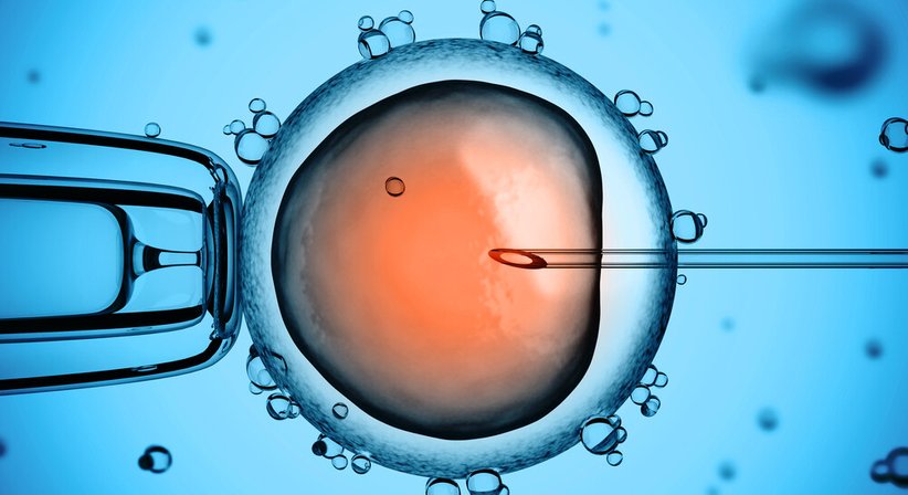 ICSI /PICSI (INTRACYTOPLASMATISCHE SPERMIENINJEKTION) - Dr. med. univ. Leonhard Loimer, MSc - Frauenarzt Linz 4020