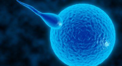 IVF (in-Vitro-Fertilisation)