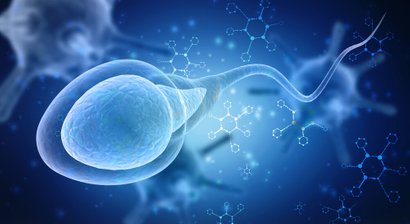 Spezial-Spermiogramme