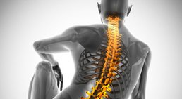 Praxis - Prim. Prof. Dr. Roland Oppolzer - Orthopäde Wien 1080