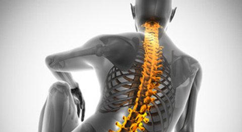 Prim. Prof. Dr. Roland Oppolzer - Orthopäde Wien 1080