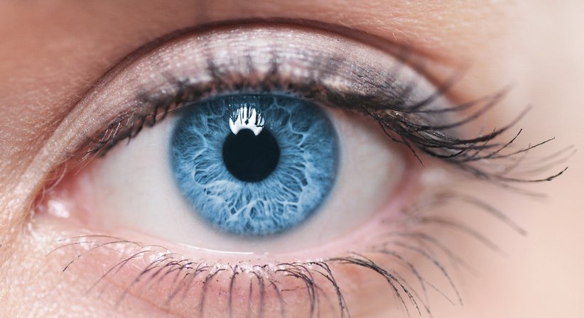 Kontaktlinsenanpassung - Dr. Philipp Novak - Augenarzt Wien 1080