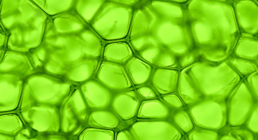 Raucherentwöhnung - Dr. Barbara Stadler - Praktische Ärztin Wien 1180