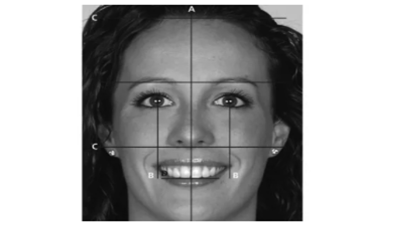 Kieferorthopädie - Dr. med. dent. Alexander Sawaljanow - Zahnarzt Wien 1140