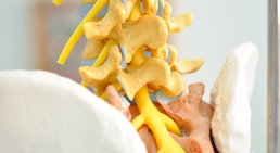 Dr. med. univ. Wafa Djananpour - Neurochirurg Wien 1080
