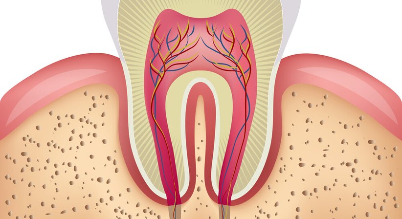 Endodontie – OP-Mikroskop - Dr. Daniela Crupinschi - Zahnarzt Wien 1060