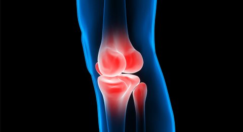 OA Dr. Gerhard Klein - Orthopäde Wien 1080