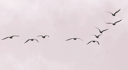 Früherkennung & Risiko