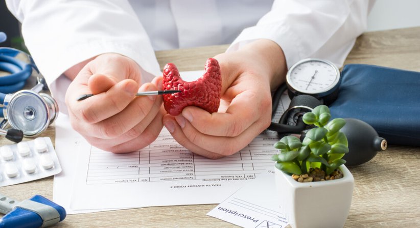 Schilddrüsenerkrankungen  - Prim. Doz. Dr. med. univ. Edmund Cauza - Internist Wien 1030