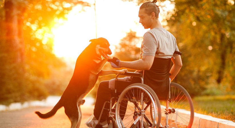 Multiple Sklerose - Dr. Thomas Bachrich - Neurologe Wien 1020