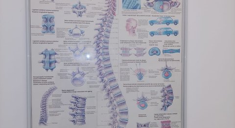 Dr. Helmut Johann Hiertz - Neurochirurg Wels 4600