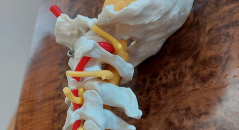 Dr. Helmut Johann Hiertz - Neurochirurg Wels 4600