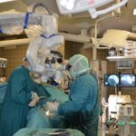 Univ.Prof. Dr. Walter Saringer