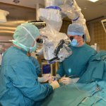 Univ.Prof. Dr. Walter Saringer