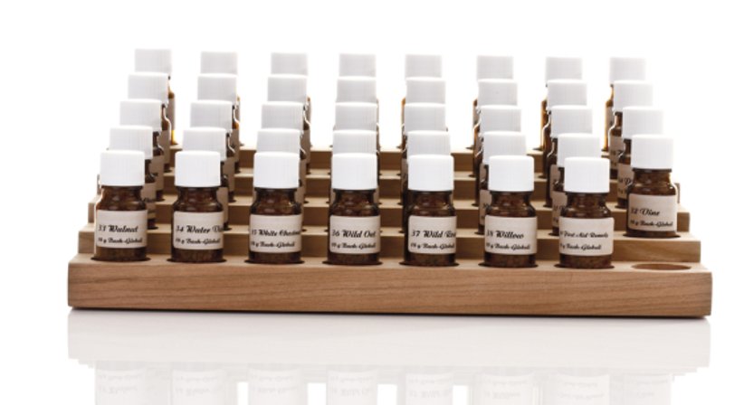 Bachblütentherapie - Dr. Helene Gründorfer - Kinderärztin Wien 1190