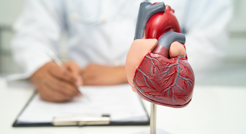 Kardiologie (Herz) - Dr. Konrad Rack - Internist Salzburg 5020