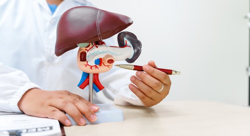 Hepatologie (Leber) - Dr. Konrad Rack - Internist Salzburg 5020