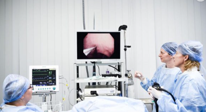 Magenspiegelung (Gastroskopie) - Internist-Nord – Gruppenpraxis für Innere Medizin -  Wien 1210