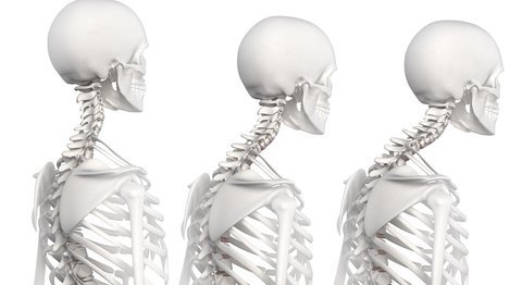 a.o.Univ.Prof.Dr. Josef Georg Grohs - Orthopäde Wien 1190