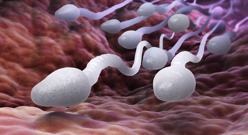 Kryokonservierung - Dr. Josef Zech - Frauenarzt Innsbruck 6020