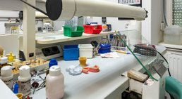 Dr. med. univ. Cora Haller-Waschak - Zahnärztin Wien 1180