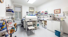 Dr. med. univ. Cora Haller-Waschak - Zahnärztin Wien 1180