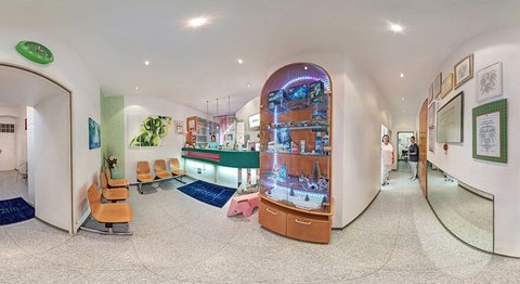 Praxis - Dr. med. univ. Cora Haller-Waschak - Zahnärztin Wien 1180