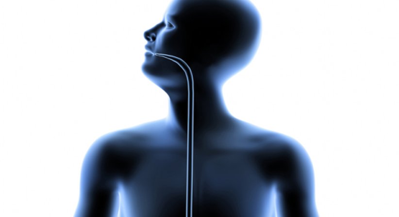 Achalasie - Univ.Prof. Dr. Sebastian F. Schoppmann - Allgemeinchirurg Klosterneuburg 3400