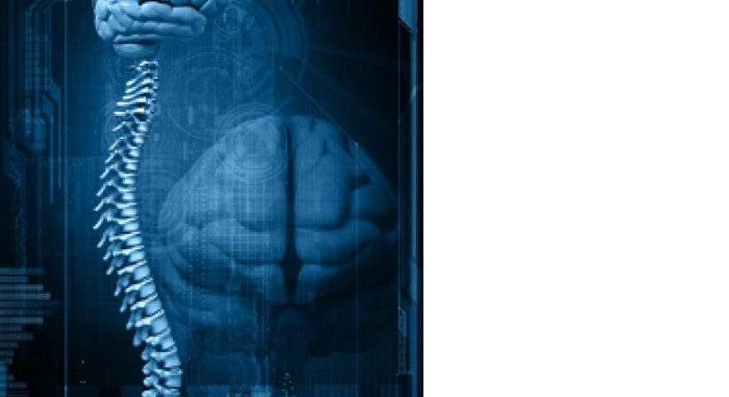 Wann sollte ich einen Neurochirurgen aufsuchen - Dr.med. Michael Seifert - Neurochirurg Kitzbühel 6370