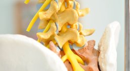 OA Dr. Horst Schappelwein - Neurochirurg Wien 1030