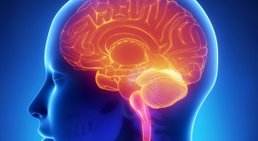 OA Dr. Horst Schappelwein - Neurochirurg Wien 1030