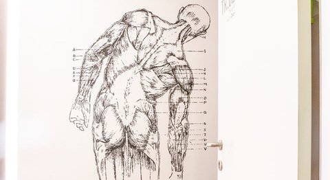 OA Dr.med.univ. Roman Christian Ostermann - Orthopäde Wien 1170