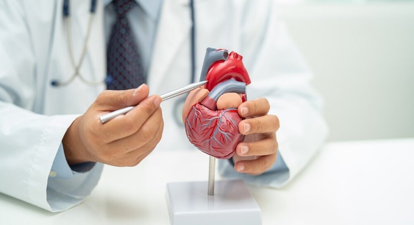 Thorakale Aortenchirurgie - Univ.-Prof. Priv.-Doz. Dr. Daniel Zimpfer, MBA - Gefäßchirurg Wien 1090