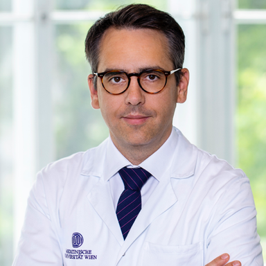 Univ.-Prof. Priv.-Doz. Dr. Daniel Zimpfer, MBA - Gefäßchirurg Wien 1090