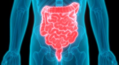 Koloskopie (Darmspiegelung)