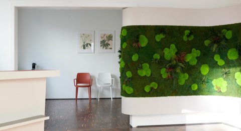 Dr. med. Katharina Konstantin - Praktische Ärztin Wien 1090