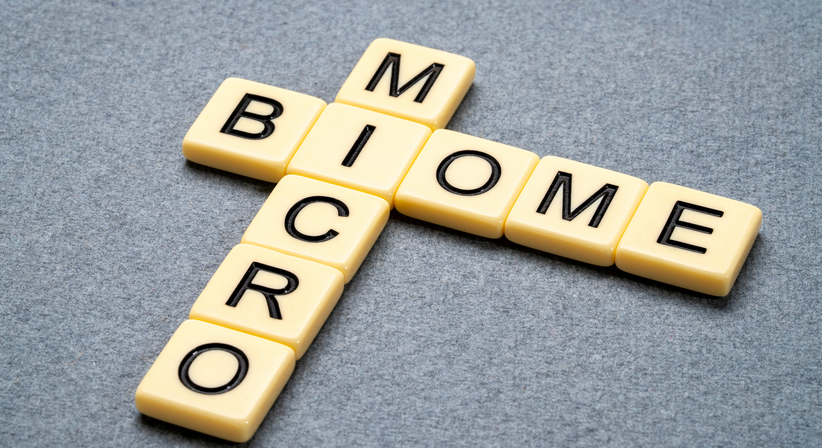 Mikrobiom - Dr. med. Katharina Konstantin - Praktische Ärztin Wien 1090