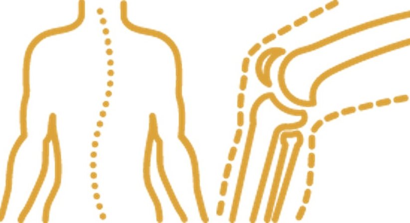 Orthopädie allgemein - Priv.-Doz. DDr. Jörg Friesenbichler - Orthopäde Rosental an der Kainach 8582