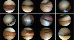 OA Dr. Clemens Felsing - Orthopäde Wien 1190