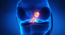 Prof. Dr. Klaus Schatz - Orthopäde Wien 1010