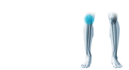 Prof. Dr. Klaus Schatz - Orthopäde Wien 1010