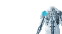 Prof. Dr. Klaus Schatz - Orthopäde Wien 1010