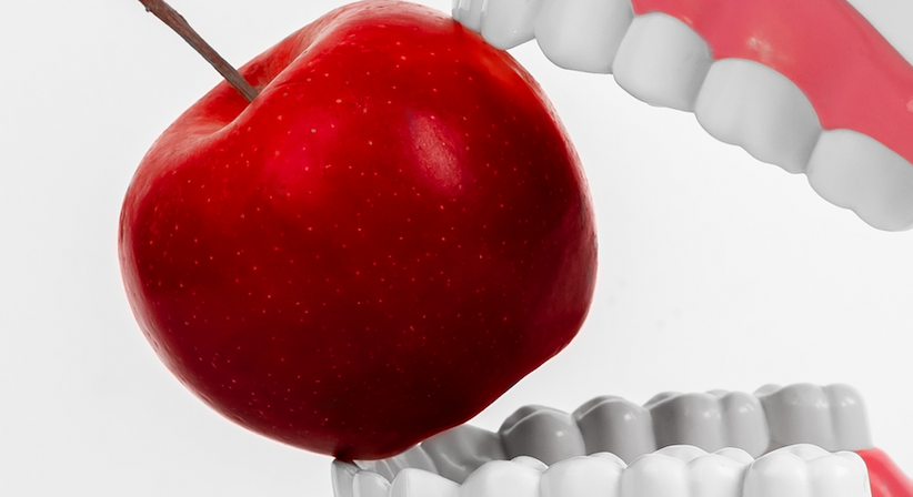 Ganzheitliche Zahnmedizin - Dr. Maike Jörck, MSc. - Zahnärztin Salzburg 5020