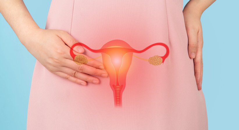 Kolposkopie - Dr. Anna-Maria Parger - Frauenärztin Hallein 5400