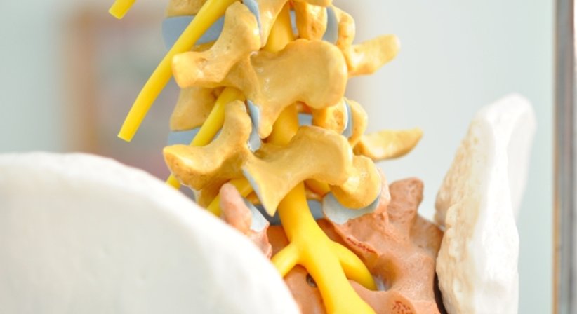 Wirbelsäulenbehandlungen - Dr. med. univ. Vedat Sahin - Orthopäde Wien 1230