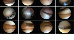 Mag. Dr. Manfred Neumaier - Orthopäde Pottendorf 2486