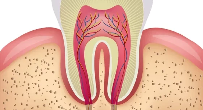Wurzelbehandlung - Dr. Ingo Moosbauer - Zahnarzt Linz 4020
